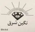 لوگوی نگین شرق