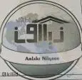 لوگوی نیلگون