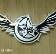 لوگوی آسا