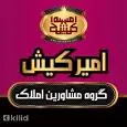 لوگوی امیرکیش
