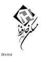لوگوی حافظ نوین