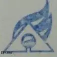 لوگوی امیر