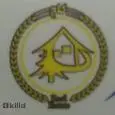 لوگوی کاج شعبه 1