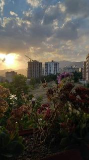 ویو ابدی تهران و آفتاب مستقیم, محلاتی